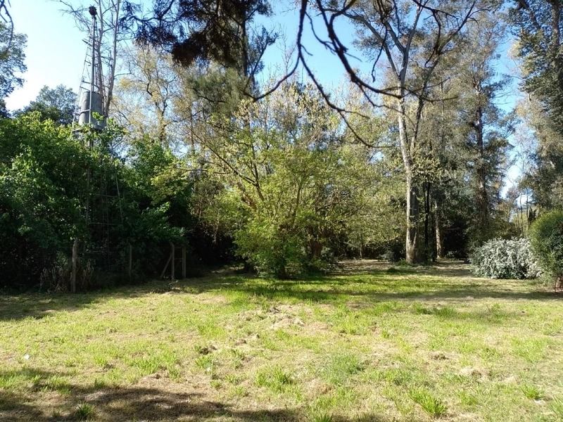 Foto 7