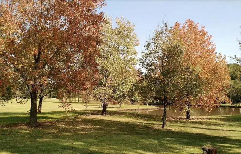 Foto 19