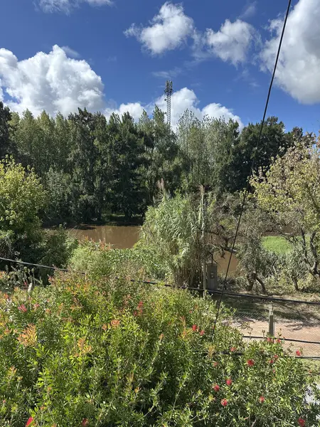 Foto 12