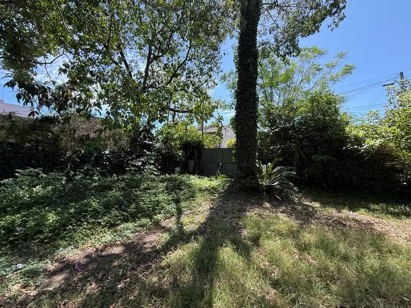 Foto 39