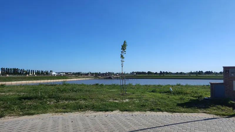 Foto 41