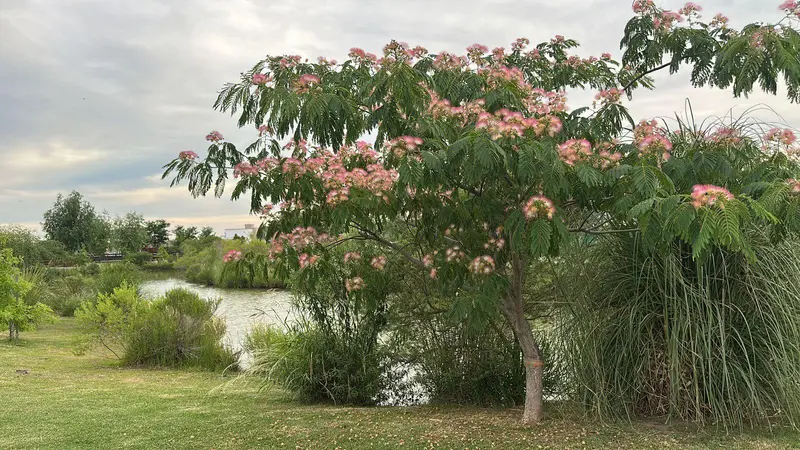Foto 21