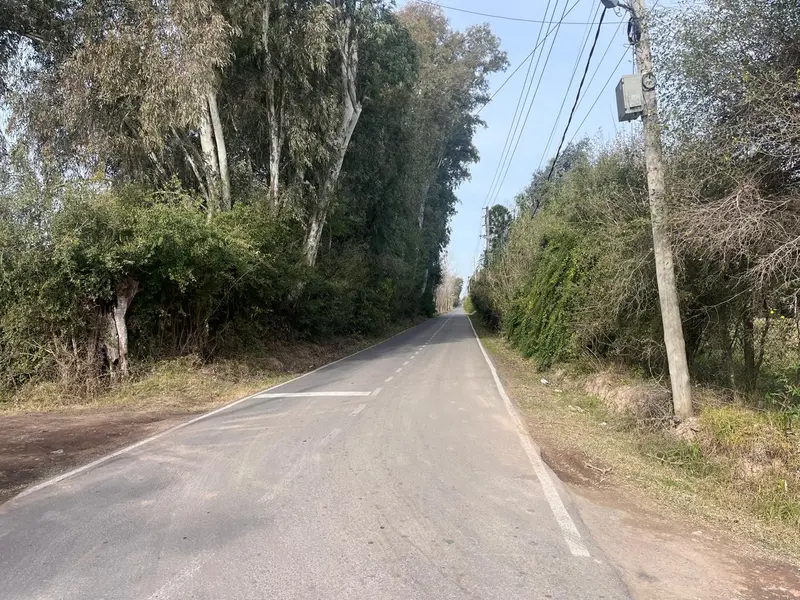 Foto 8