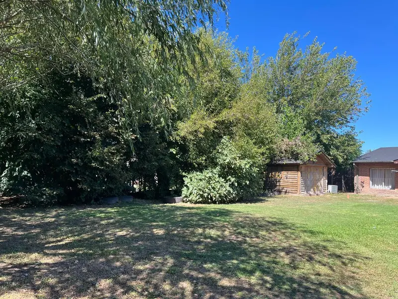 Foto 20