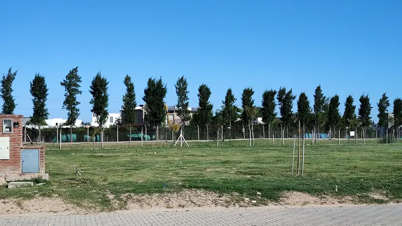 Foto 29