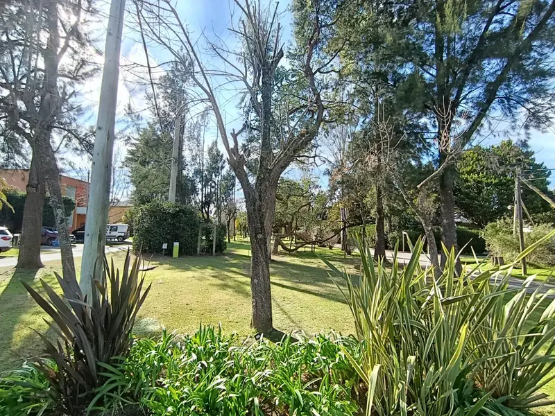 Foto 10