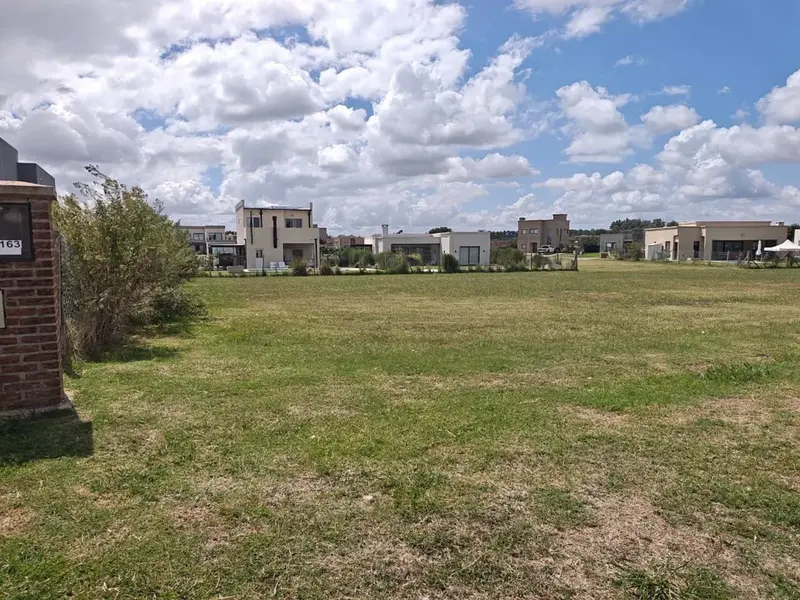226575.webp