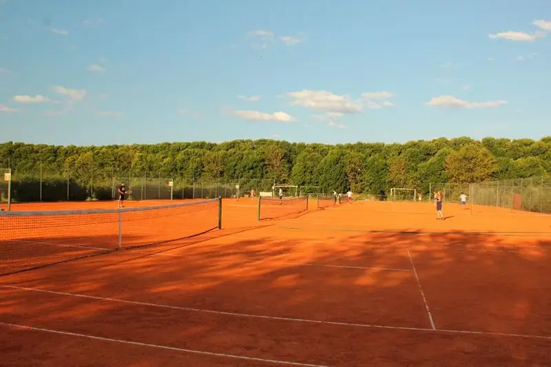 226583.webp