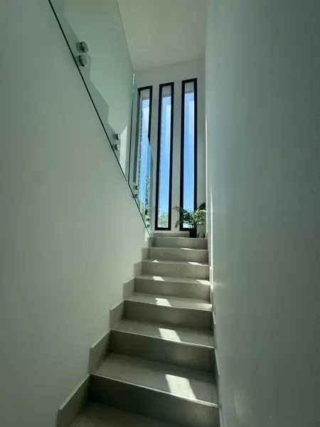 226942.jpg
