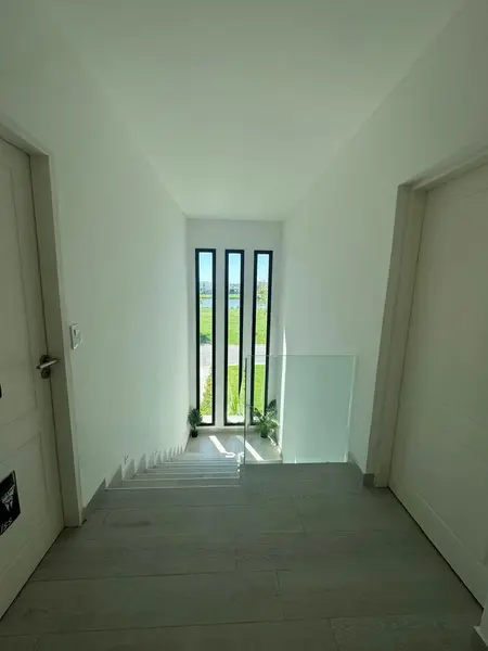 226956.jpg