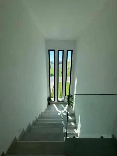 226950.jpg