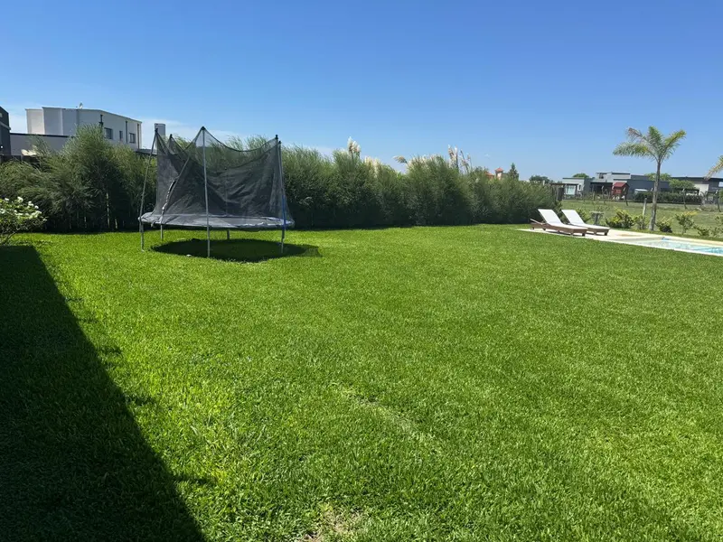 226958.jpg