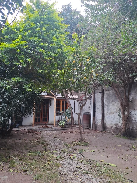 Foto 15