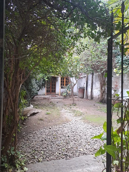 Foto 13