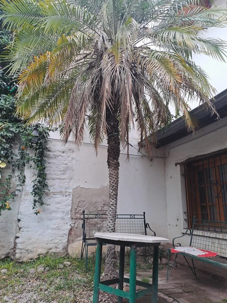 Foto 14