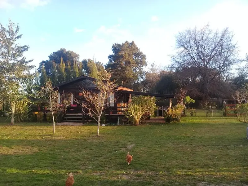 Foto 4