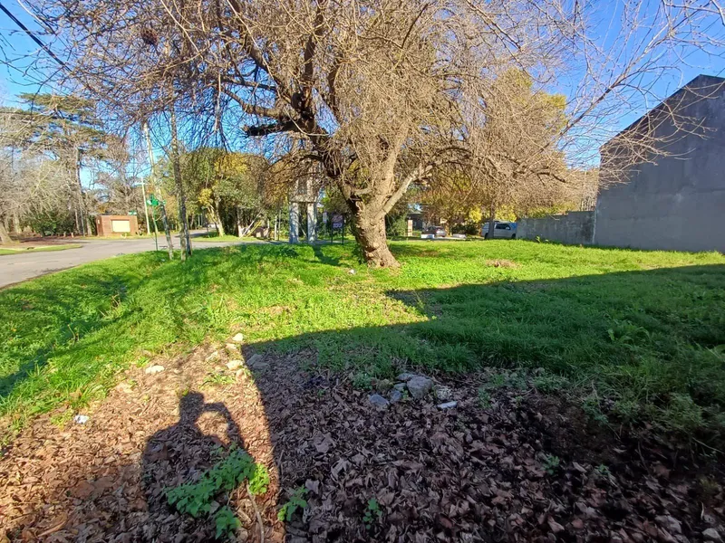 Foto 11