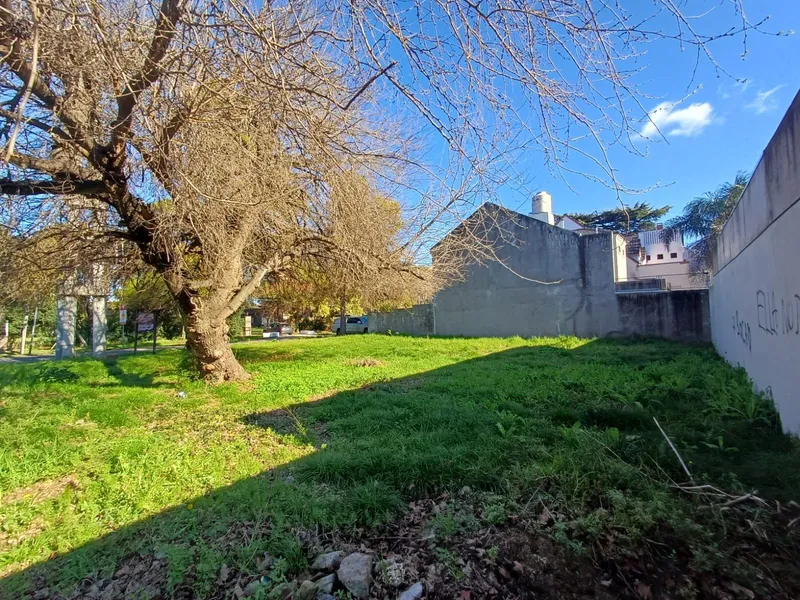 Foto 10