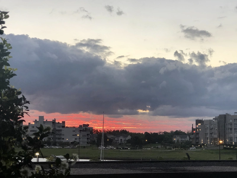 IMG_1232.jpeg