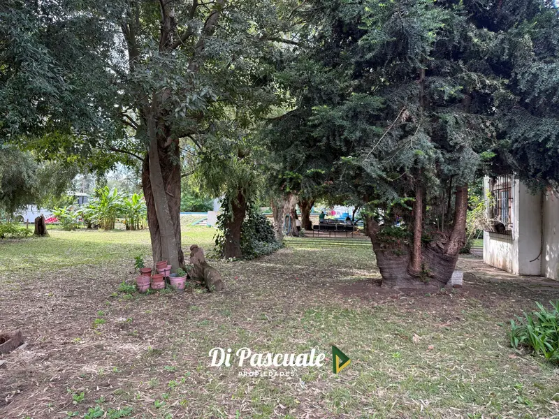 Foto 15