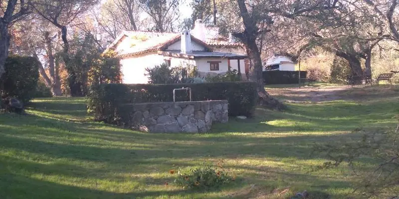 1994940890.jpg