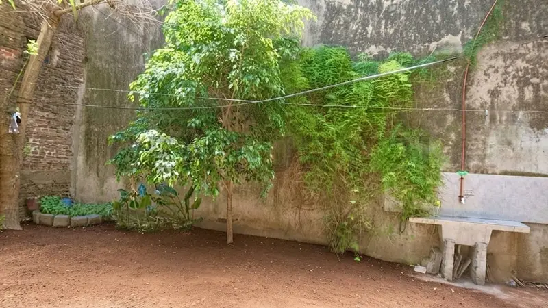 Foto 8