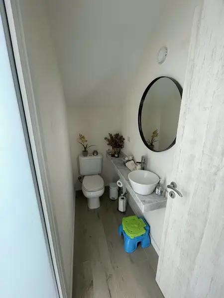 247833.jpg