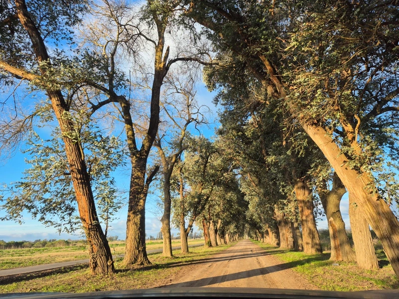 Terreno en venta · Parada Robles, Exaltación de la Cruz, GBA Norte, Provincia de Buenos Aires