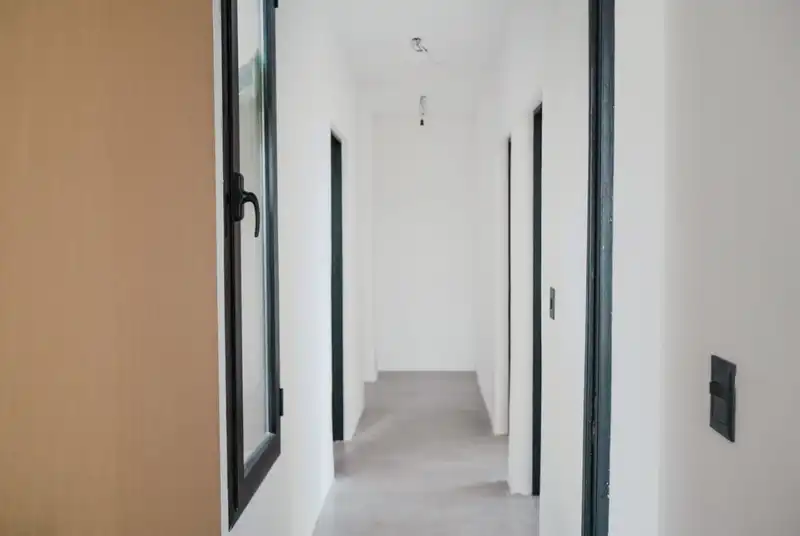 258181.jpg