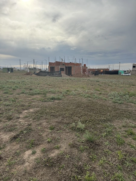 IMG_3242.jpeg