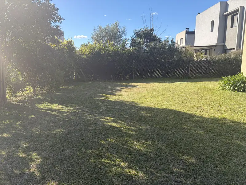 Foto 61