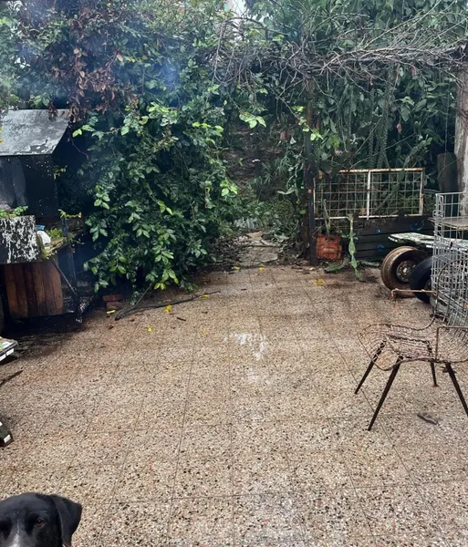 Foto 5