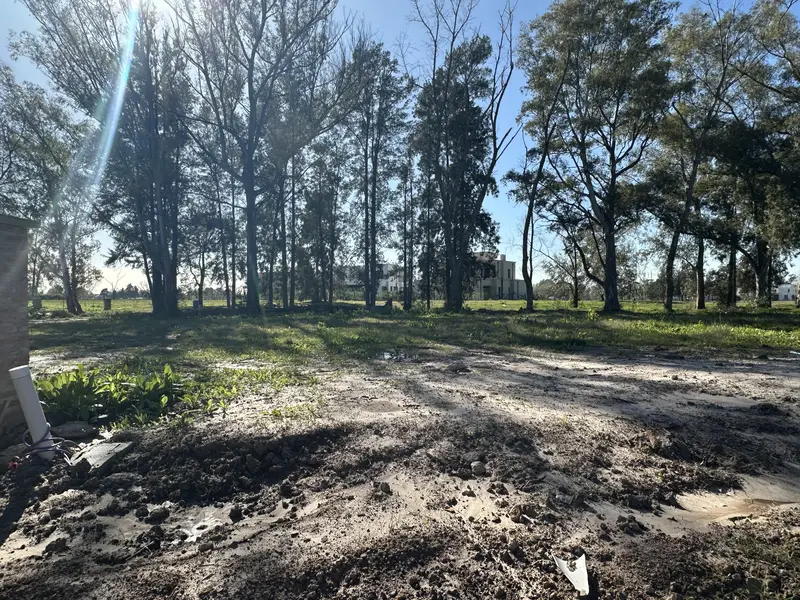 Foto 45