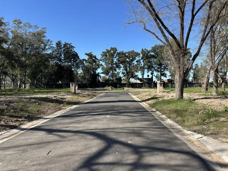 Foto 43