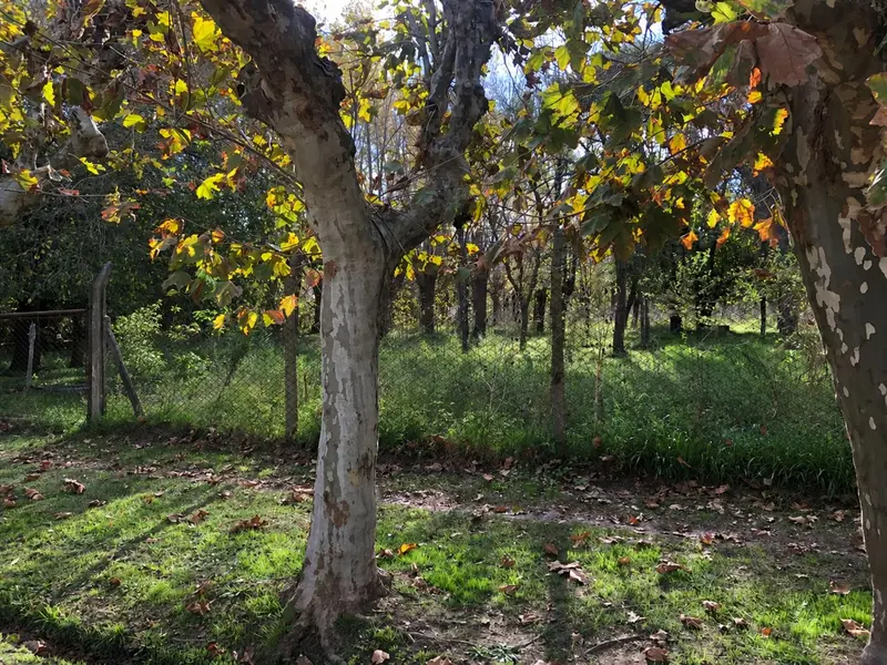 Terreno en venta · Dique Luján, Tigre, GBA Norte, Provincia de Buenos Aires