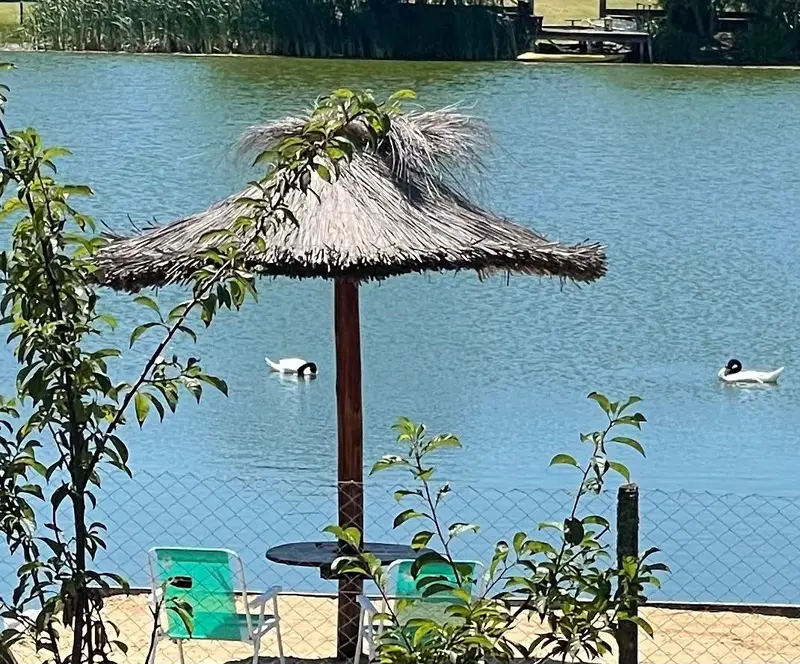 Foto 26