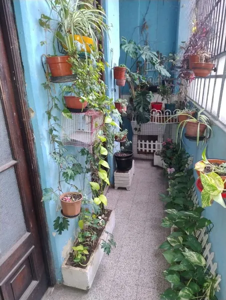 Foto 20