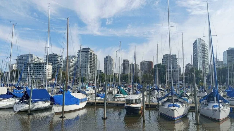 Foto 15