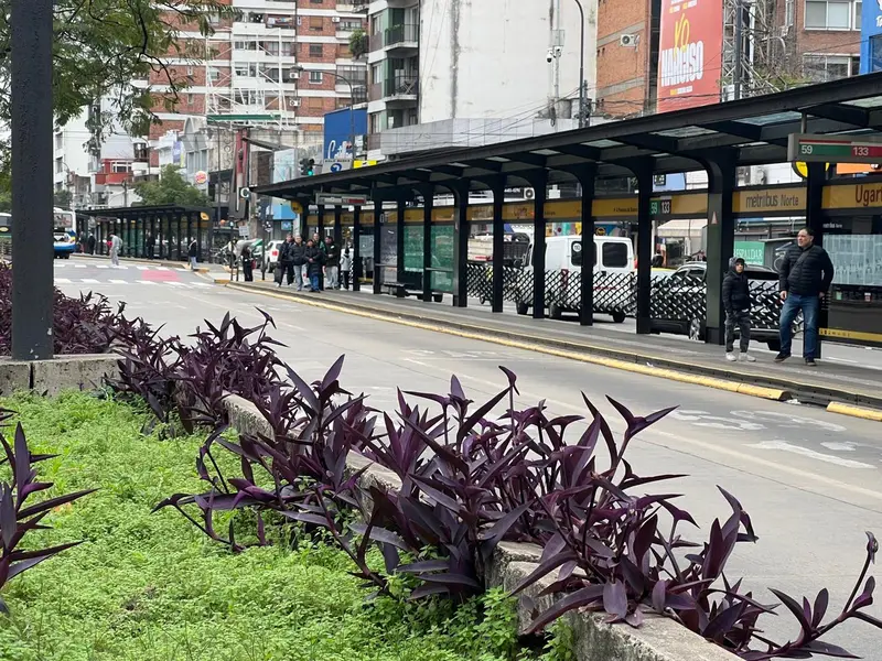 Metrobus.jpeg