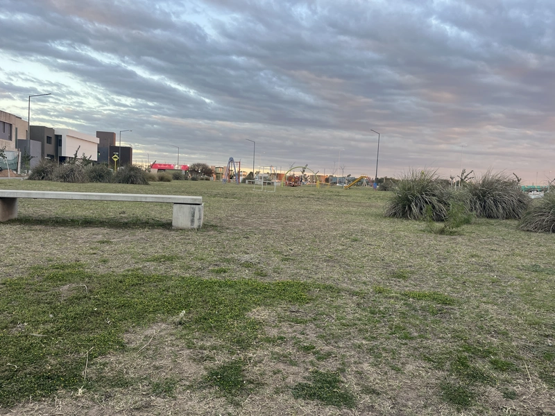IMG_4342.jpeg