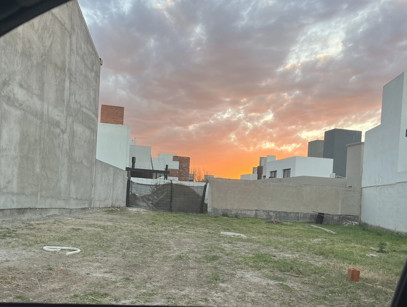 IMG_4345.jpeg