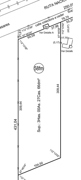 481955.jpg
