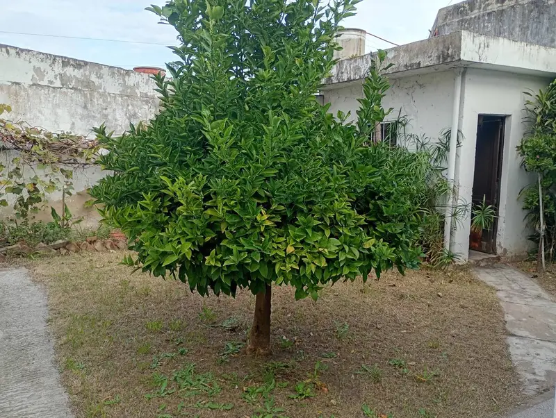 Foto 10