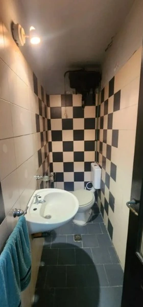 237313.jpg