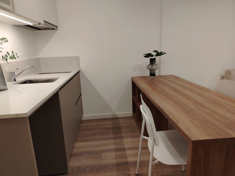 Feel palermo 1 amb cocina  2.jpg