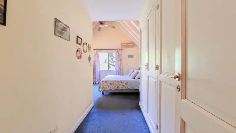 323546.jpg