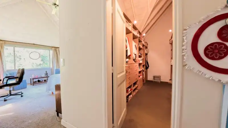 323543.jpg