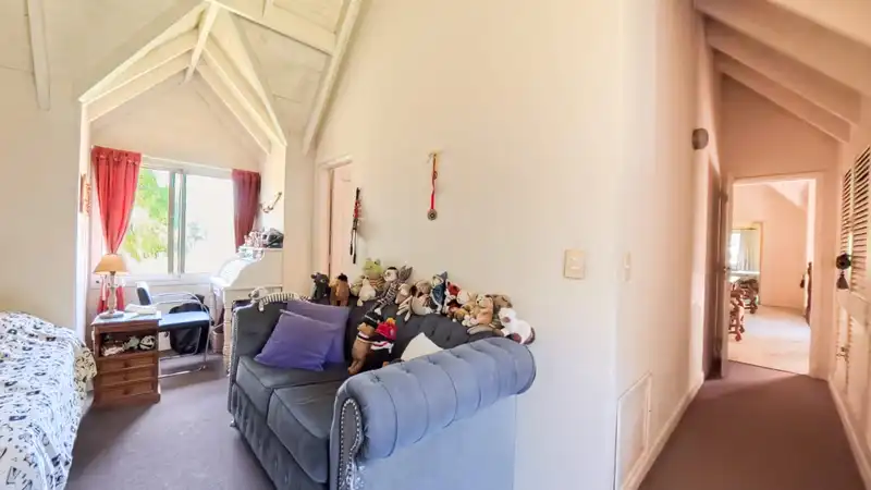 323531.jpg