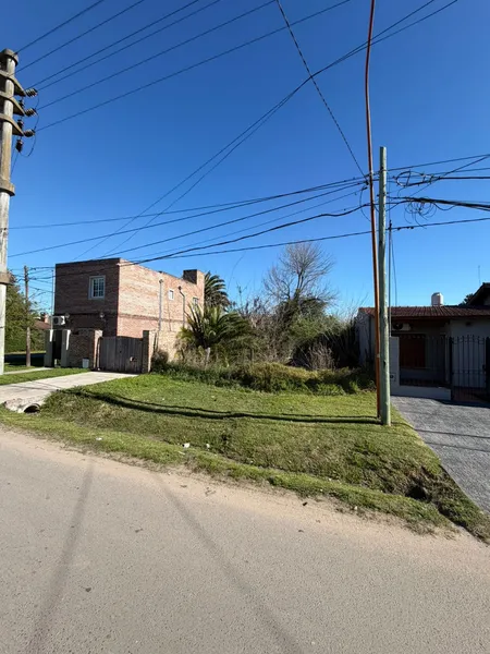 496843.jpg