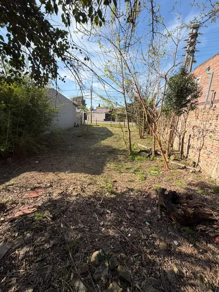 Foto 12